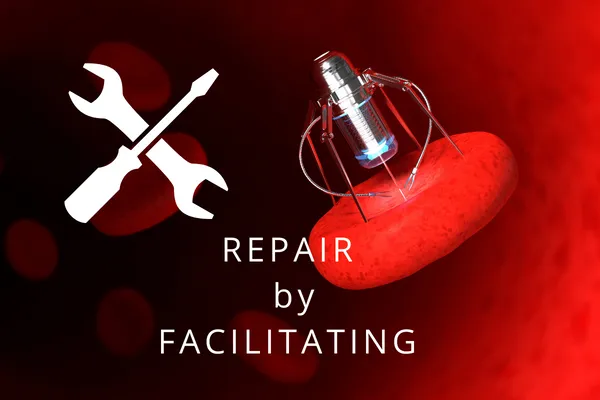 1657475218 Repairbyfacilitating